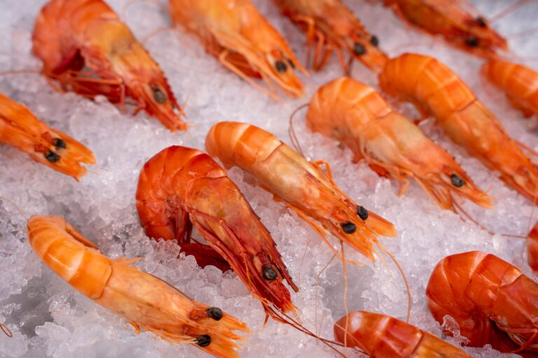 dockside market aransas bay